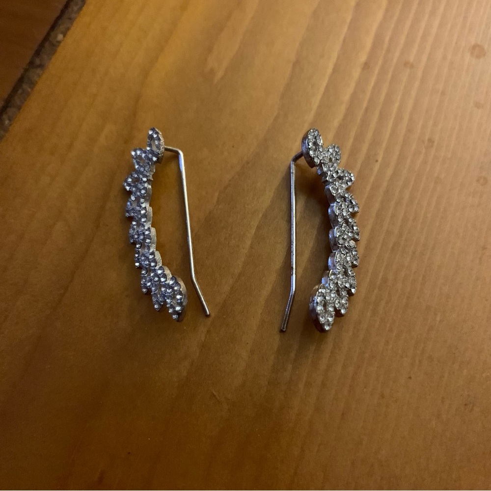 Wing earrings